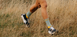 ULTRA TRAIL SOCKS V2.0, SLATE GREY/SAFFRON, t2