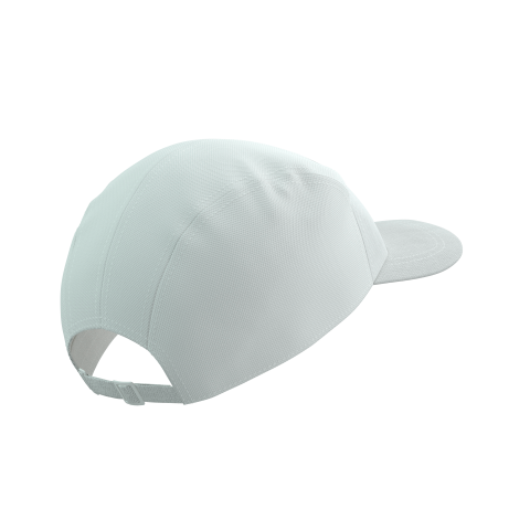 5 PANEL CAP STAR WHITE/BLUE-GREEN