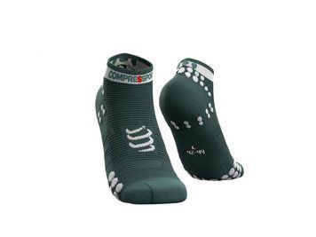 RUN LOW SILVER PINE V3.0, T1